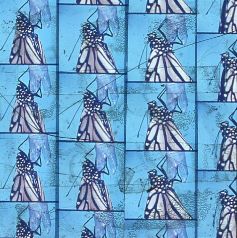 A single slide from Luther Price's video projection. There are four columns that show a butterfly perched on a piece of plastic with a blue background. There are numerous abstract details throughout the slide that show Luther's process.
