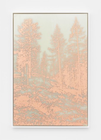 An image of a forest etched out of copper on a milky background