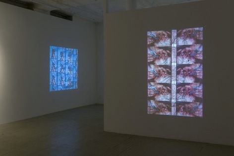 A photograph of two Luther Price video projections. In the foreground on the temporary wall we see images of a wound being drained in repetition; on the far wall to the left we seen a butterfly on a blue background.