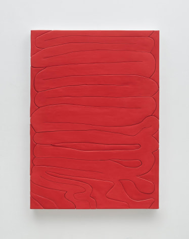 A photograph of a red painting that has lines squiggling throughout, making it appear like a visualization of intestines or sausage links.