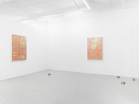 A photograph of two framed copper-etchings hung on the wall, installed around the front corner of the gallery including the temporary wall. There are 4 painted rocks scattered around the floor as well.