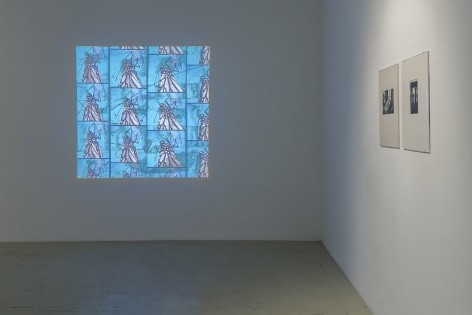 A view that shows a Luther Price video projection on the far wall, depicting a butterfly on a blue background, and two black and white photographs by Herv&eacute; Guibert in cream mattes.