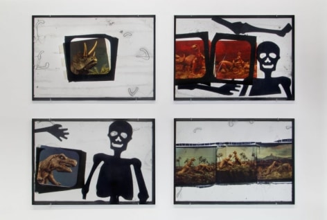 Four works framed in black that include enlarged film slides, drawings of skeletons, and dinosaur figurines.