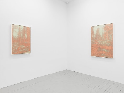 A photograph of the back corner of the gallery. There are two framed copper-etchings of landscapes hung on the wall, installed around the corner.