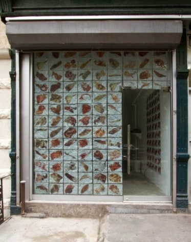 A photograph from the exterior of the gallery, with it's window tessellated with images of meat and flesh