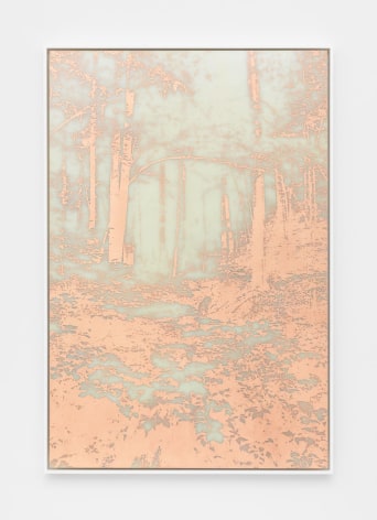 A photograph of a photo-etching made from copper, where the image is a heavily wooded landscape with all positive space defined in orange copper. The background looks like a cloudy grey-green.