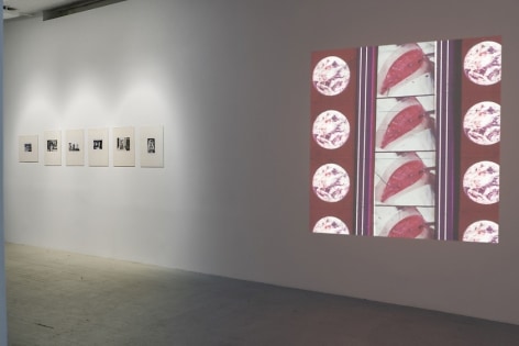 A view of one wall which on the left has 6 black and white photographs by Herv&eacute; Guibert in cream mattes and on the right has a projection by Luther Price depicting several open wounds, repeated.