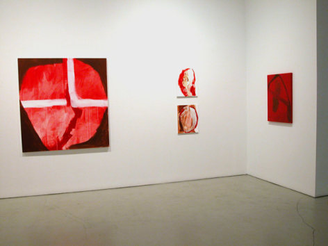 Installation view of Jason Fox, The Upper Depths, 2009 at Peter Blum SoHo.