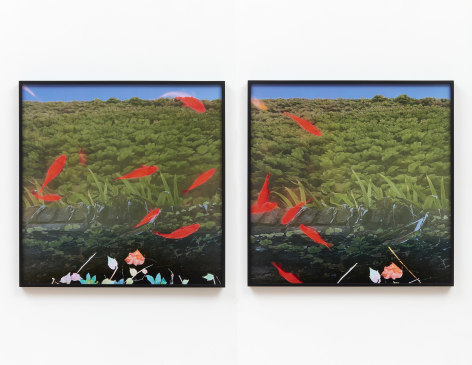 Su-Mei Tse, Gaze into deep, 2022