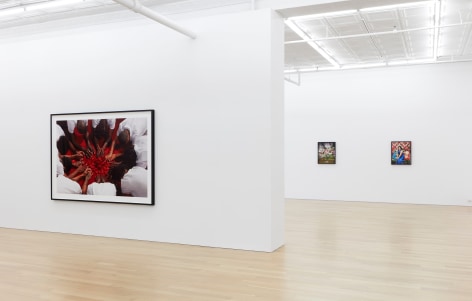 Installation view of Traces of Us: Recent Photography, 2025, Peter Blum Gallery, New York, NY