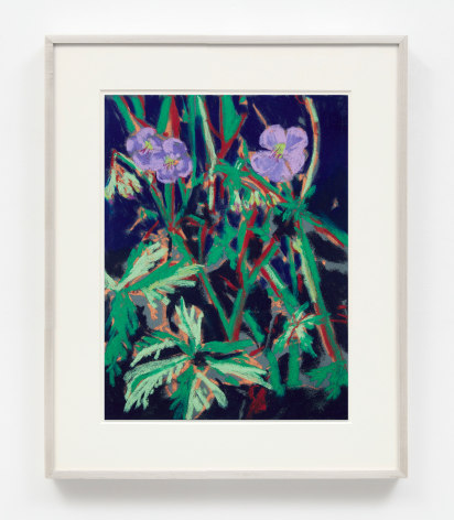 Nicole Wittenberg, Sweet William 7, 2023