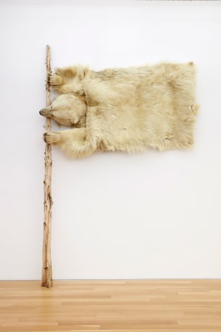 White Flag, 2022, trimmed polar bear rug and wood