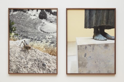 Su-Mei Tse Delphi: Grasshopper (Delphi) and The Charioteer of Delphi, 2019 inkjet on fine art paper mounted on Dibond diptych, 37 1/8 x 58 5/8 inches (94 x 149 cm) Edition of 5 (SMT19-01)