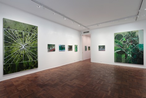 Hurvin Anderson, Subtitles, New York, 2011, Installation Image 6