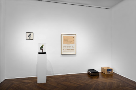 MARCEL BROODTHAERS &Eacute;criture 28 January through 26 March 2016 UPPER EAST SIDE, NEW YORK, Installation View 13