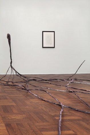 Enrico David, NERVE ENDING, New York, 2012, Installation Image 4