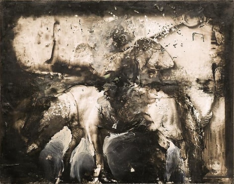 Zsolt Bodoni, Horse, 2012, Acrylic on photo, 24 x 19 cm