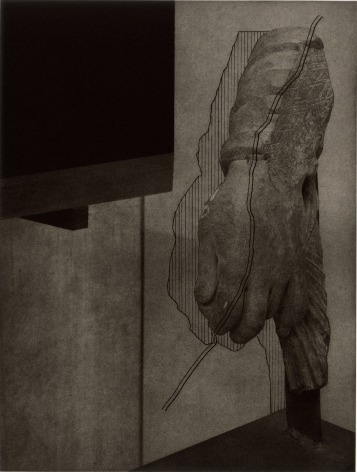 Seher Shah, Argument from Silence (broken limb), 2019, Polymer photogravures on Velin Arches paper