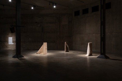 Hera Büyüktasçiyan,&nbsp;Reveries of an Underground Forest, 2019, Installation view at Enmeshed, the East Tank, Tate Modern, 2022