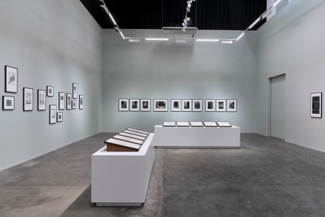 When Words Disappear into Trees,&nbsp;Seher Shah, Installation view at Green Art Gallery, Dubai, 2021