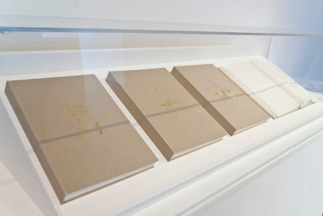Nazgol Ansarinia, NSS Book Series, 2008, Printed paper bound together in book format with a foil embossed cover