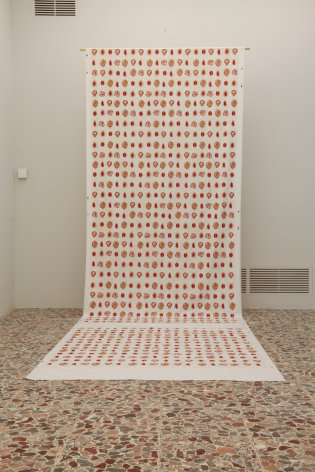 Rossella Biscotti, Clara and Other Specimens, Installation view at Fondazione Antonio Ratti, Villa Sucota, Como, Italy, 2019