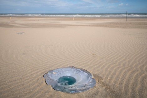 Rossella Biscotti, Stranded, 2021, Glass sculpture, Dimensions variable