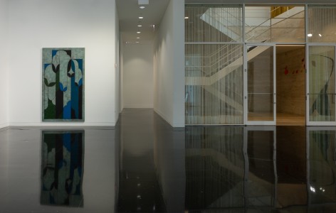 Kamrooz Aram: Privacy, An Exhibition, Installation view at The Arts Club of Chicago, Chicago, IL, 2022