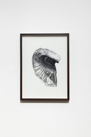 Hera B&uuml;y&uuml;ktaşciyan, Soma Vol I, 2022, Graphite drawing and collage with archival print on paper, 42 x 29.5 cm