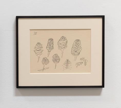 Anwar Jalal Shemza, Pine Cones, 1977, Ink on paper, 21.3 x 29.7 cm