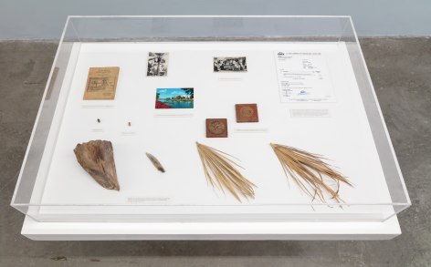 Dispute Between the Tamarisk and the Date Palm,&nbsp;Michael Rakowitz, Installation view at REDCAT, Los Angeles, 2019
