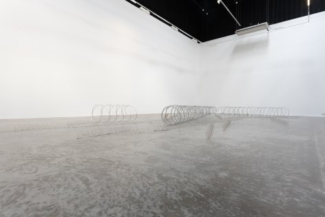 Wilfredo Prieto, Anti-bird lines, anti-human lines, 2018, Bird deterrent spikes, wire razor, Dimensions variable