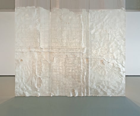 Nazgol Ansarinia,&nbsp;Membrane, 2014, Paper, paste, glue,&nbsp;550 x 500 cm