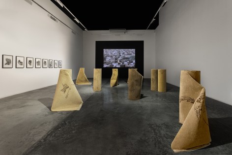 Hera B&uuml;y&uuml;ktaşcıyan,&nbsp;Reveries of an Underground Forest, 2019, Carpets, Composed of 9 carpets, Dimensions variable