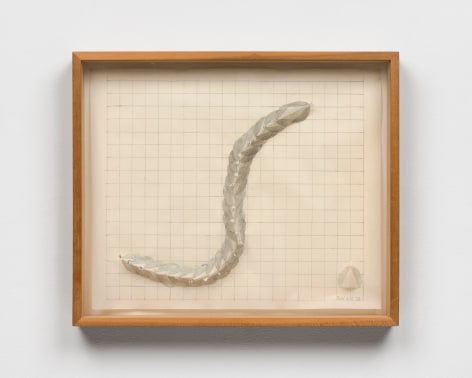 This is an image of a work on paper made by Ruth Vollmer in 1978 titled: Snake.