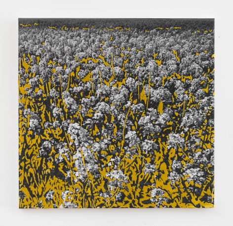 Berend Strik, &quot;Yellow Garden&quot;, 2017, stitched c-print on tyvek, 20 inches by 20 inches.