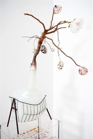 Glass steel, tree root, artificial plant, transparency film, digital print, acrylic sculpture