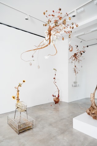 Installation view 'Jesse Krimes: Strange Roots', New York, 2018