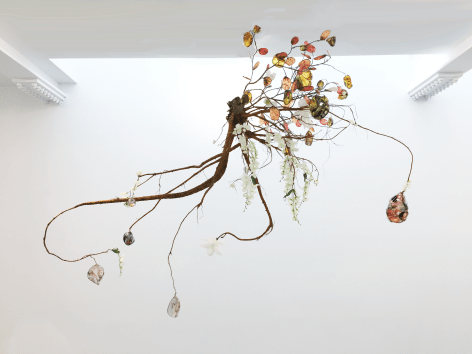 Root, artificial plants, transparency film, digital print ceiling sculpture