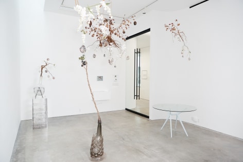 Installation view 'Jesse Krimes: Strange Roots', New York, 2018