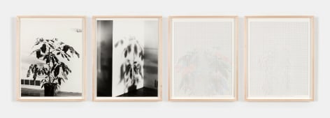 Charles Gaines' &quot;Shadows, Set 4,&quot; 1980-2014, photographs, ink on paper.
