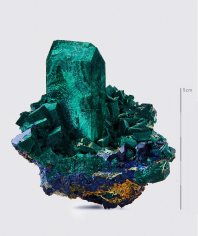 Fine Mineral photograph of Malachite pseudomorph Azurite on white background from Wilensky Exquisite Minerals