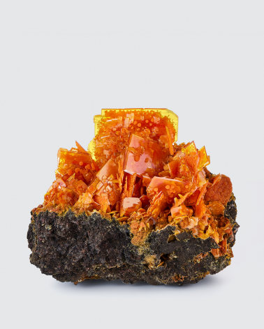 Wulfenite with Mimetite on white background