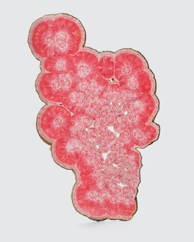 Rhodocrosite Slice on white background