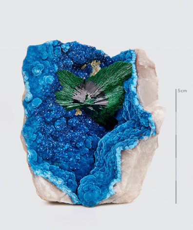 Malachite video  for wilensky exquisite minerals habits exhibition. malachite fine mineral photograph