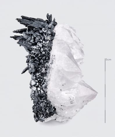 Fine mineral photograph of acanthite on white for wilensky exquisite minerals habits exhibition.