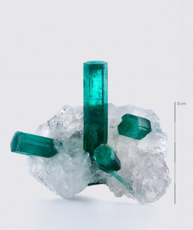 fine mineral photograph of an emerald on quartz with a white background for Wilensky Exquisite Minerals.
