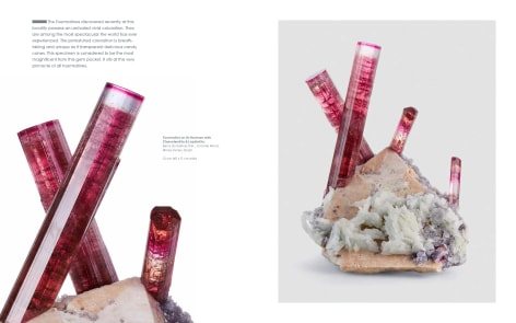 Catalog Pages Tourmaline on white and detail photo