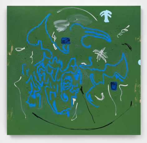 AMMON ROST Shorebird,