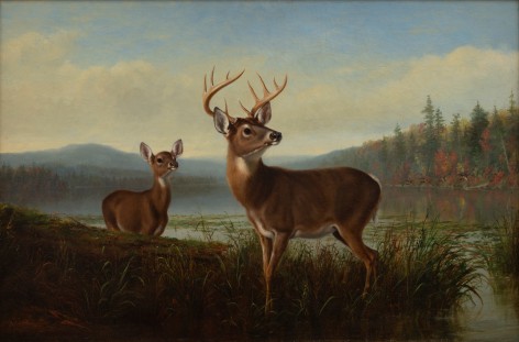 Arthur Fitzwilliam Tait (1819&ndash;1905)
